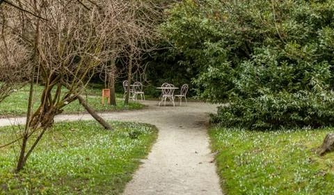 Path in spring park between snowdrops Stock Photos