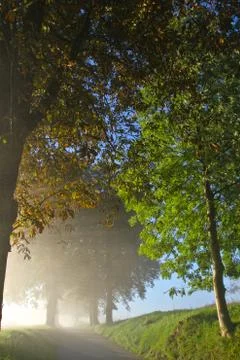 Path in spring Stock Photos