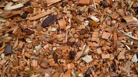 THE PATH SPRINKED WITH PIECES OF WOOD Stock Footage 153284452