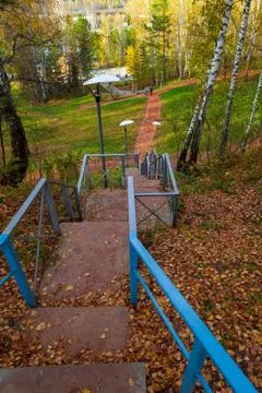 A path with steps down from orange rubble in a park with trees in a birch for Foto stock