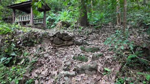 A path with a stone staircase leading up Stock Footage 325830994