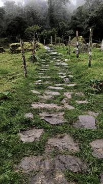 Path of stones on grass Stock Photos