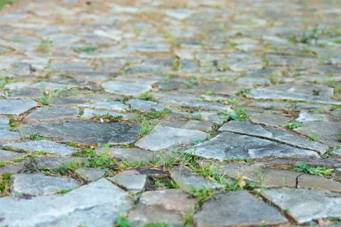 Path of stones Stock Photos
