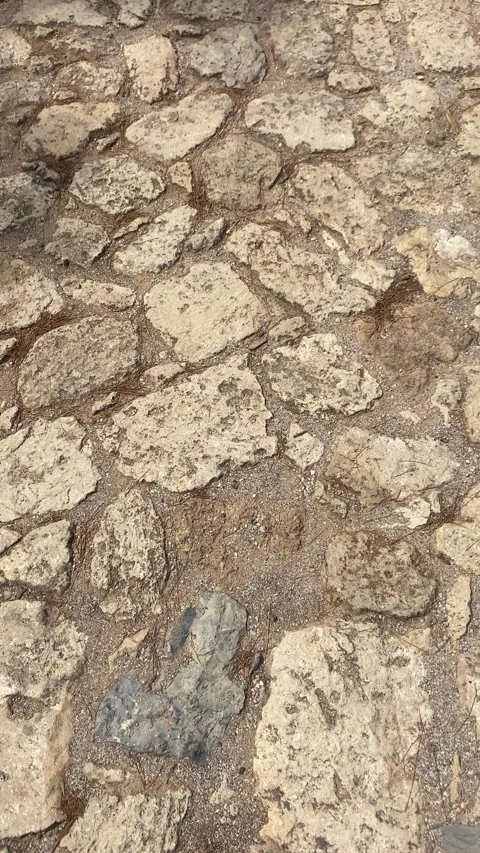 A path of stones. Stony terrain. Vertical video Stock Footage 286231966