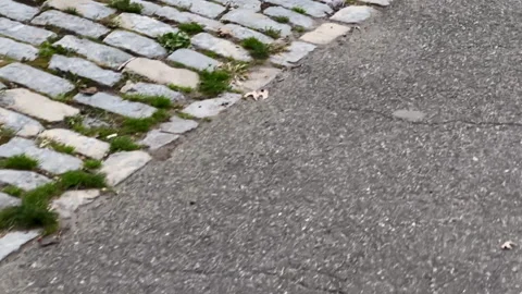 Path on the street or in the park, lined with gray paving slabs. Sidewalk. Vidéo 169823933