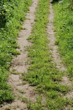 A path in summer Stock Photos