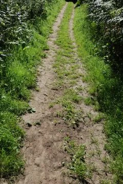 A path in summer Stock Photos