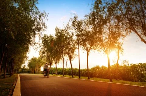 The path of the sun Stock Photos