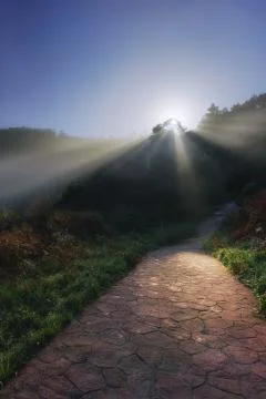 Path with sun rays Stock Photos