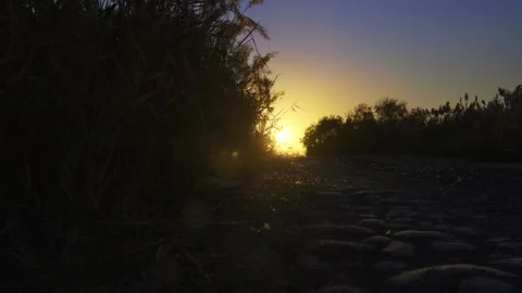 The path at sunset Vídeo Stock 259548052