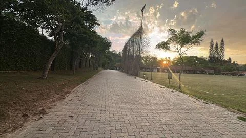 Path to the sunset light Stock Photos