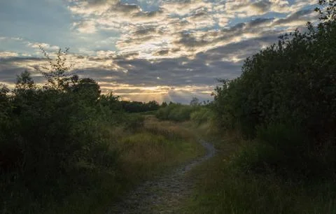 Path in the sunset Stock Photos