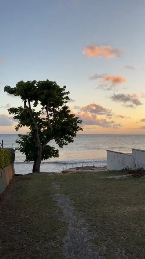 Path to surf spot at sunset, Barbados Caribbean Stock Footage 331958421