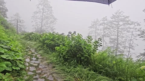 A path that is surrounded. Stock-Footage 282797160