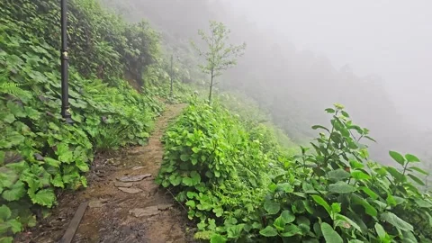 A path that is surrounded. Stock Footage 282798273