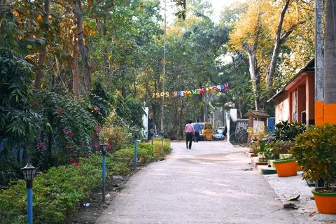 A path surrounded by yellowish reddish trees near a resort Stock Photos