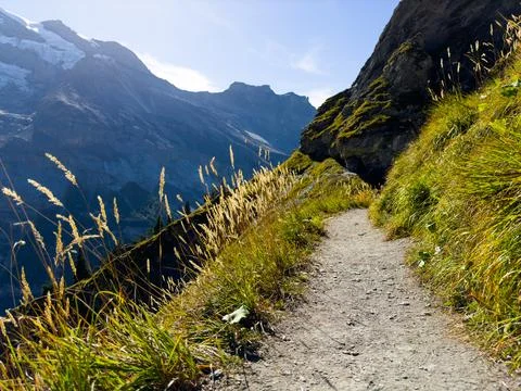 Path at Swiss mountain's side Stock Photos