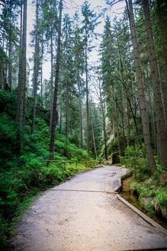  Path Through Adrspach Teplice Forest Stock Photos