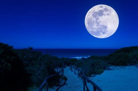 Path through the beach at night Stock Photos