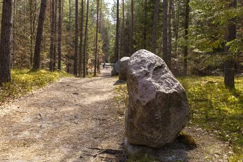 Path through Beech Mountain Reserve - in polish Bukowa Gora - in Zwierzyniec Stock Photos