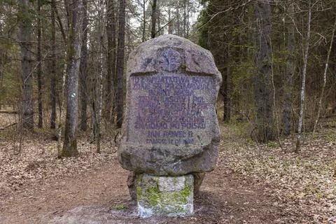 Path through Beech Mountain Reserve - in polish Bukowa Gora - in Zwierzyniec Stock-Fotos