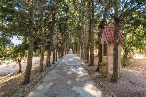 Path through cedar trees archway with small calvary stations in Monastery of  Foto stock