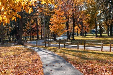 Path through City Park on Fall Day Stock Photos
