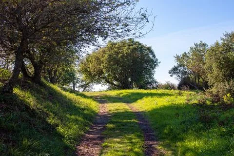 Path through the countryside in spring with trees and grass in the foreground Stock Photos
