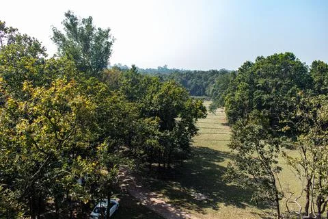 Path through the dense forest of Bhawal National Park Stock Photos