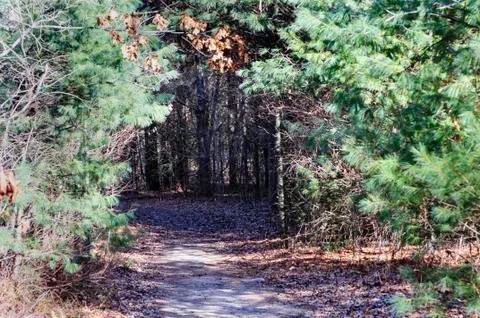 Path through Destruction Brook Woods Stock Photos