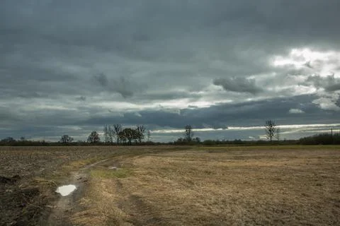 Path through dry meadow, trees on the horizon and cloudy sky Stock Photos
