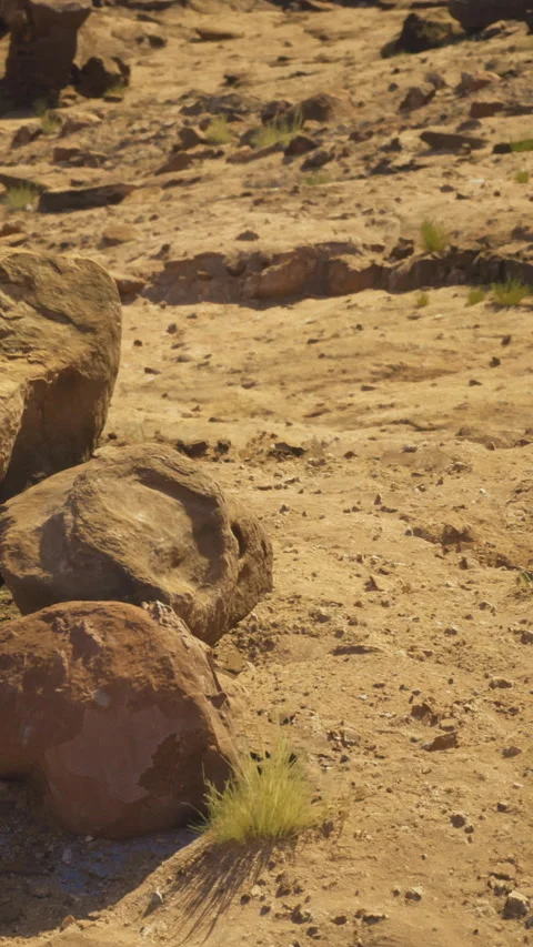 Path through dry terrain with rocks and sparse grass in sunny landscape Stock Footage 331760146