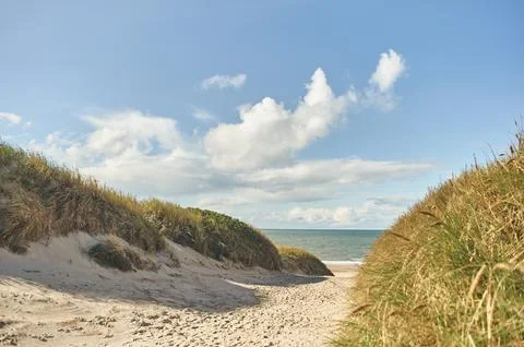 Path through the dunes and onto the beach in Denmark Stock Photos