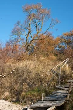 Path through dunes in the Baltic Sea coast of Lithuania Stock Photos