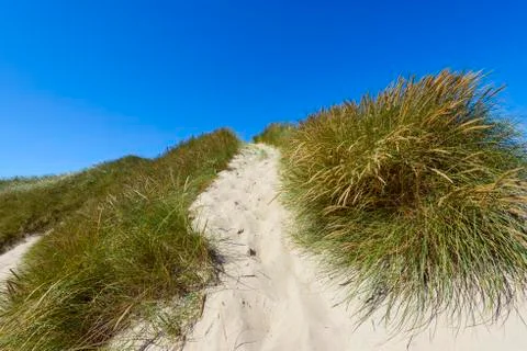 Path through Dunes to Beach, Klitmoller, North Jutland, Denmark Stock Photos