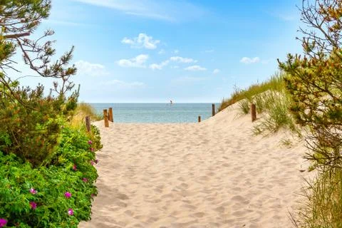 Path through dunes Stock Photos