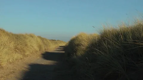 Path through dunes windy day Stock Footage 104312524