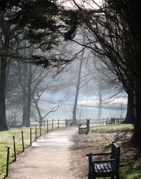 Path through empty park with benches in winter Stock Photos