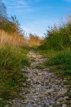 A path through a field of grass and rocks Stock Photos