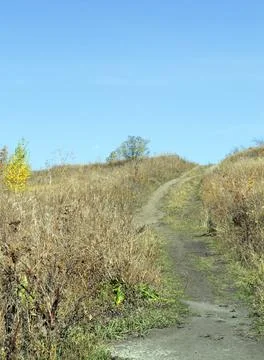 Path through the field Stock Photos