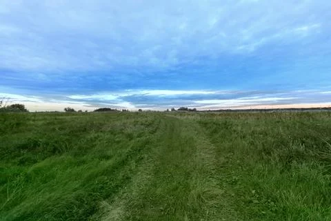 Path through a field under a blue sky at dusk with low green grass along th.. Stock Photos