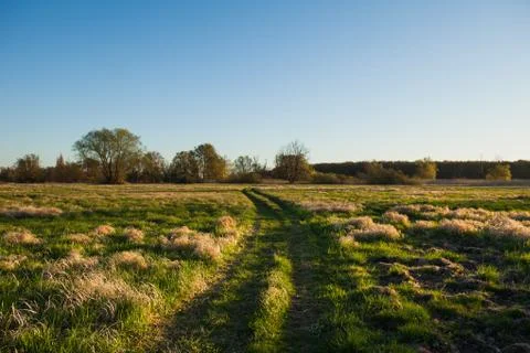 Path through fields of grass Stock Photos