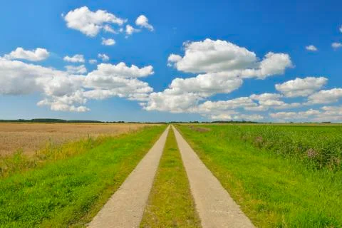 Path through Fields in the Summer, Toenning, Kating, Schleswig-Holstein, Germany Stock Photos