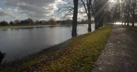 Path through flooded park with sun flare through silhouetted trees Stock Footage 121151685