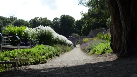 Path through flower garden with leaves in breeze and a shaded seat. Stock Footage 66353465