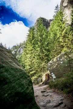 Path Through Forest at Adrpach Teplice Rock Formation Stock Photos