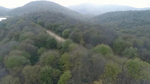 Path through the forest Stock Footage 122222943