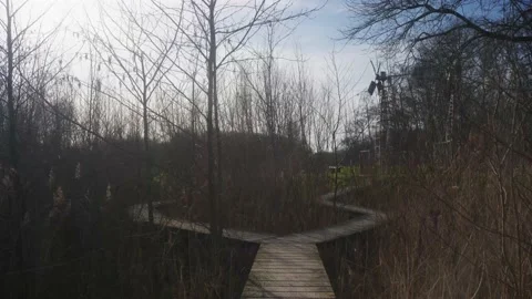 Path through a forest Video stock 150266209