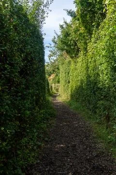 A path through a forest with a house in the background Stock Photos
