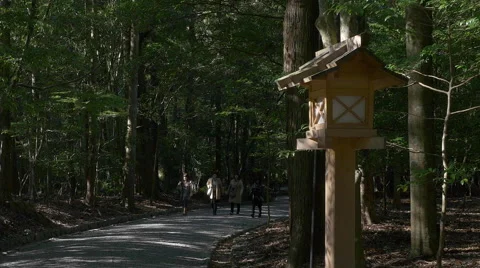 Path Through Forest at Ise Grand Shrine in Japan Stock Footage 45607669
